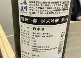 alt 3