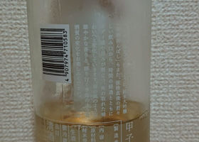 alt 2