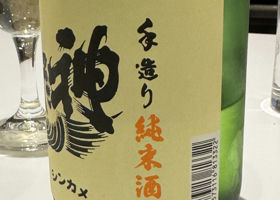 alt 3