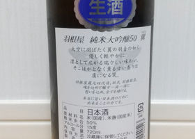 alt 3