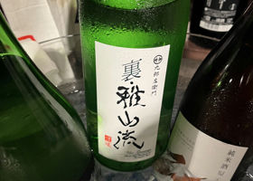 alt 1