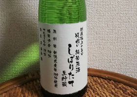 alt 1