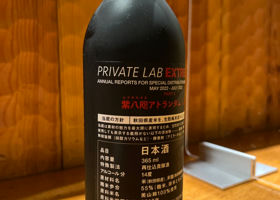 alt 3