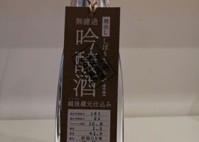 alt 1