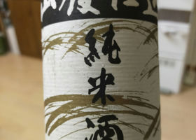 alt 1
