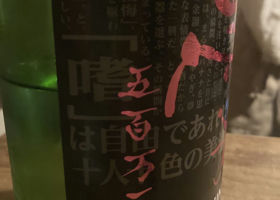alt 3