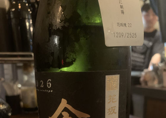 alt 1