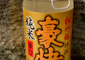 alt 1