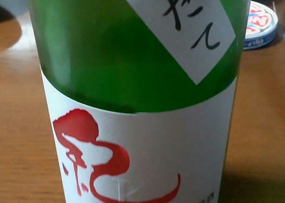 alt 1