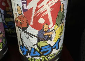 alt 3