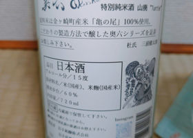 alt 3