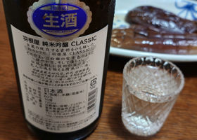 alt 3
