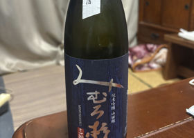 alt 1