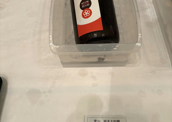 alt 1