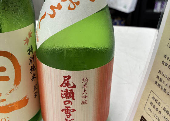 尾瀬の雪どけ チェックイン 1