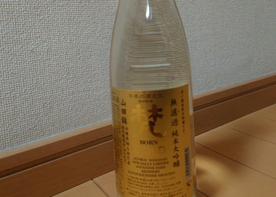 alt 1