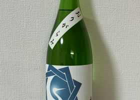 alt 3