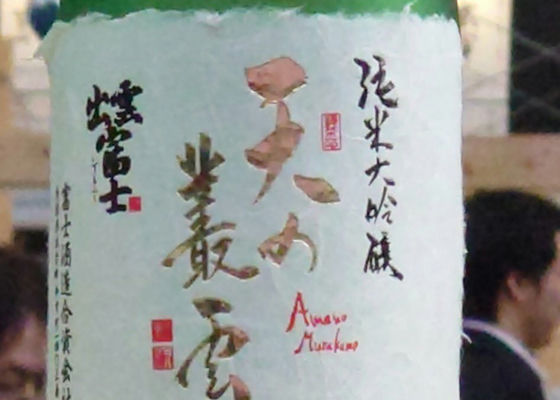 alt 1