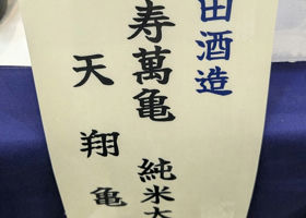 alt 2