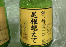 alt 1