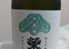 alt 1