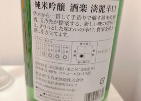 alt 3