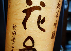 alt 1