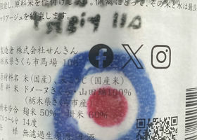 alt 2