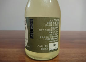 alt 3