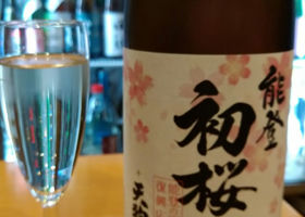 能登初桜 チェックイン 1