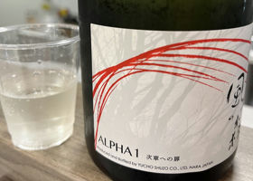 alt 1