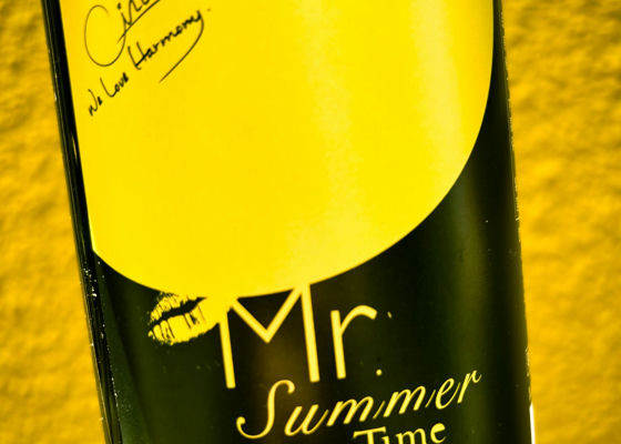 Mr.Summer Time 签到 1