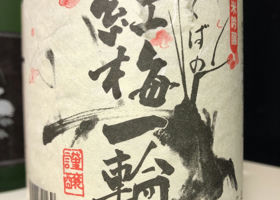 alt 3