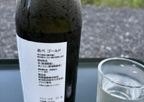 alt 2