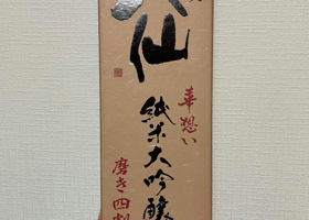alt 1