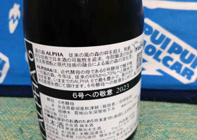 alt 3