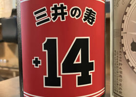alt 1