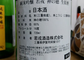 alt 1