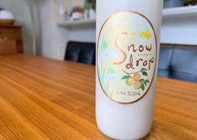 Snow drop チェックイン 1