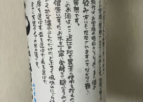 alt 3
