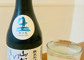 alt 3