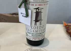 Kagamiyama Check-in 1