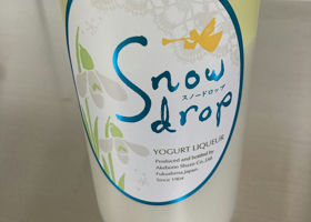 Snow drop チェックイン 1