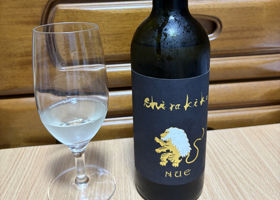NUE〜鵺〜 チェックイン 3