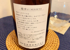 Musubi Yui Check-in 4