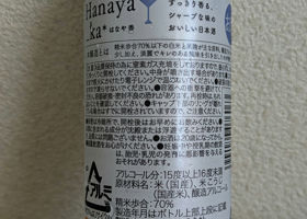 alt 3
