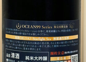 OCEAN99 Series 星海-Starlight Sea- Check-in 2