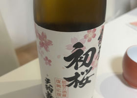 能登初桜➕天狗舞 チェックイン 1