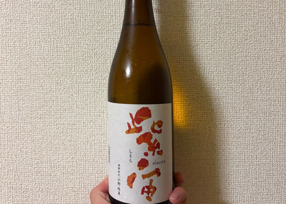 紫宙 チェックイン 1