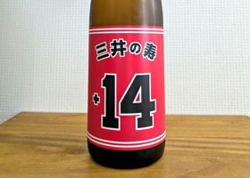 alt 1